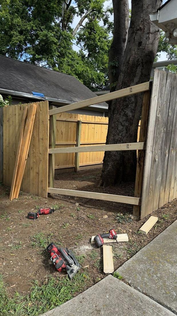 New wood framing for a fence gate next to a tree